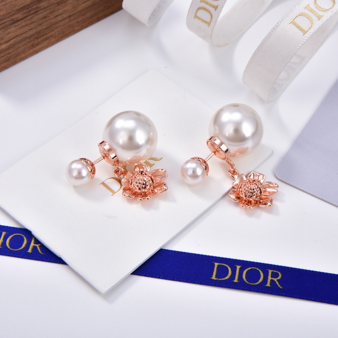 Christian Dior Earrings